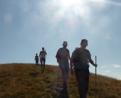 Leichtfuessig-Wandern-mit-Frauenreisen-von-Almzeit