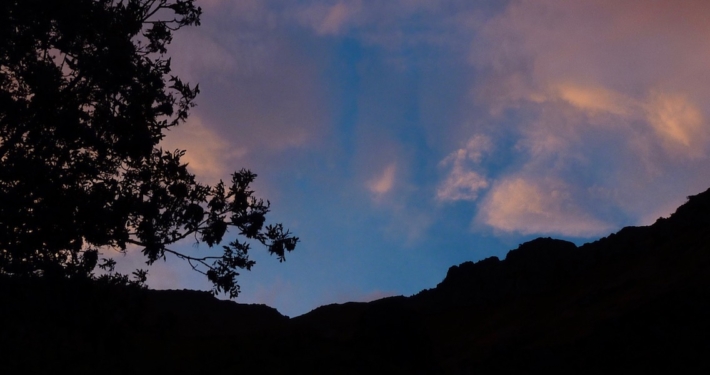 Abendstimmung-auf-der-Alm