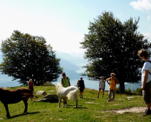 Frauen-auf-ihrer-Wanderreise-begegnen-frei-lebenden-Pferden