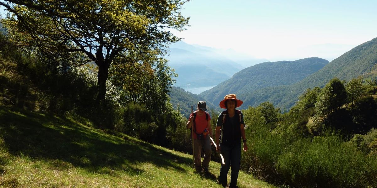 Frauen-wandern-auf-die-Alm