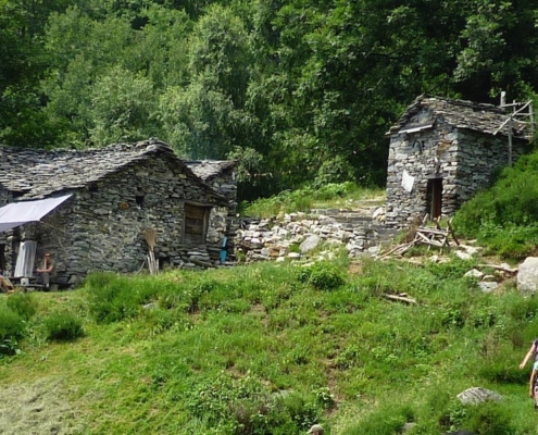 Frauen-wandern-wieder-runter-von-der-Alm