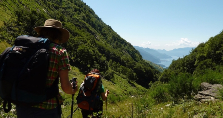 Frauen-bei-Wanderung-auf-dem-Rueckweg-zur-Alm