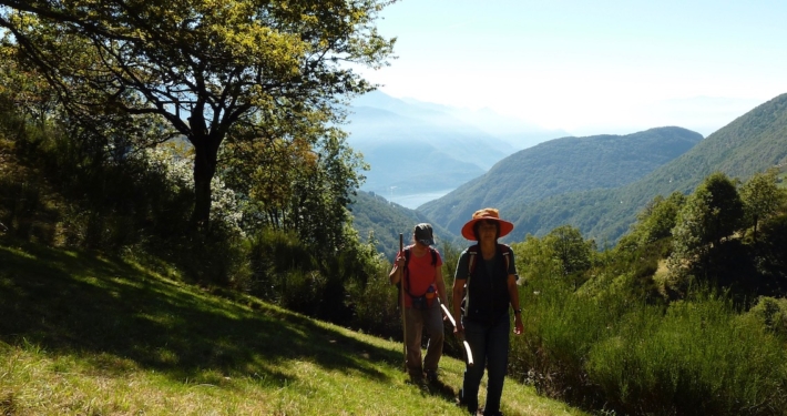 Frauen-wandern-zur-Alm