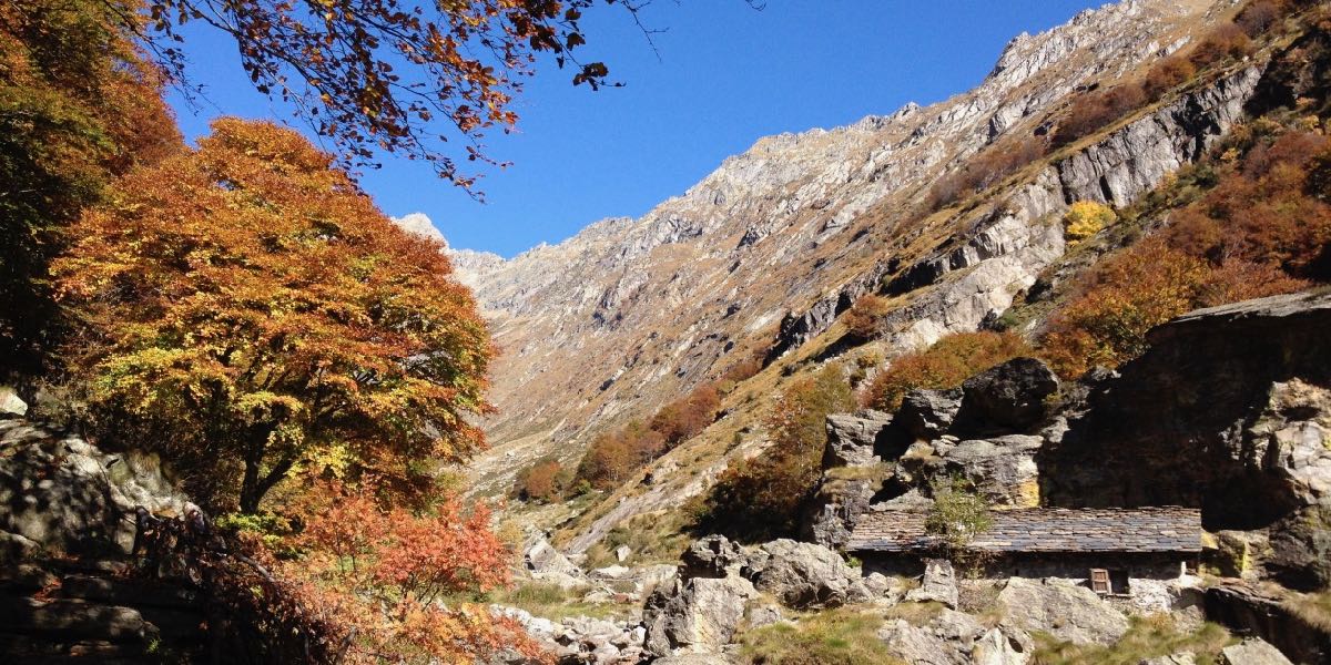 Flammende-Herbstfaerbung-im-Val-Mugiam-bei-einer-Wanderreise-fuer-Frauen-von-Almzeit